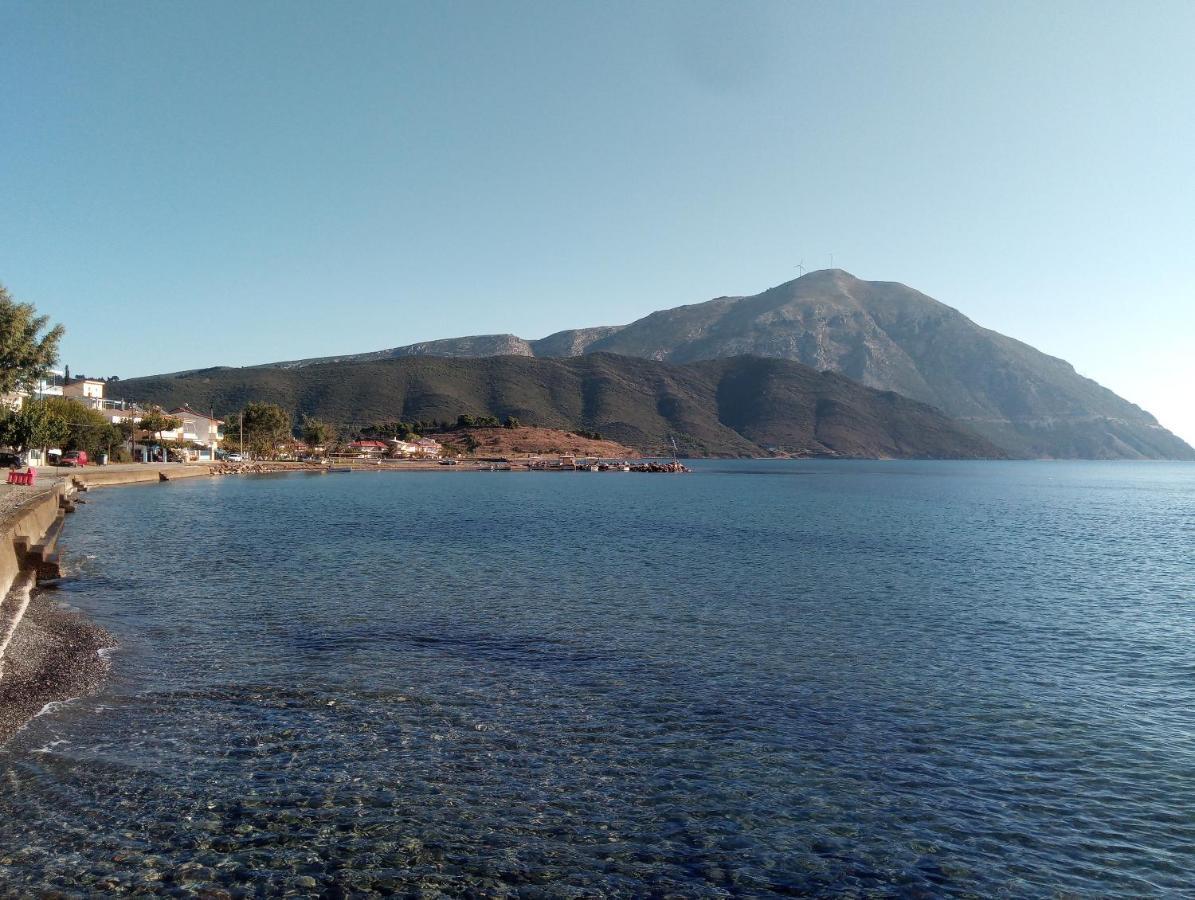 Villa The Platanus Tree Kato Vasiliki Esterno foto
