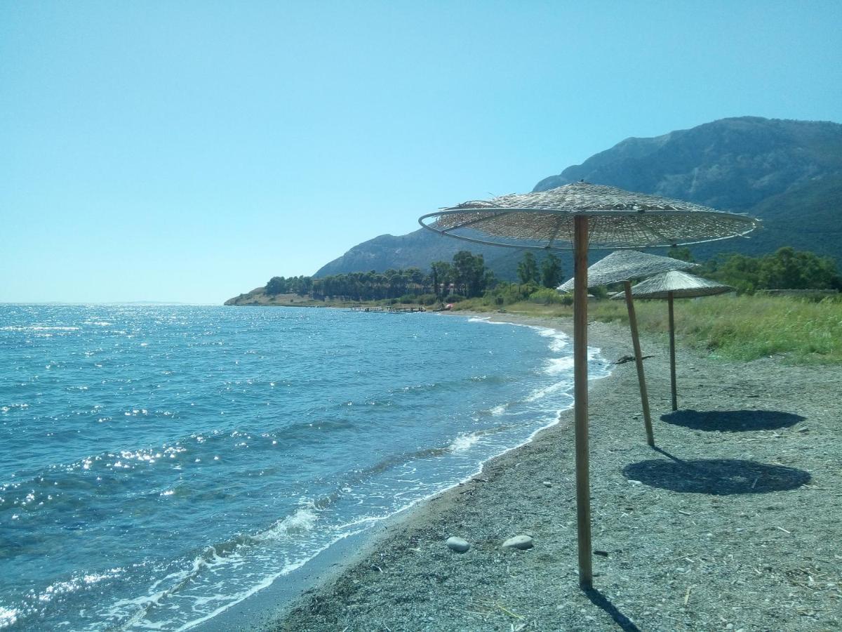 Villa The Platanus Tree Kato Vasiliki Esterno foto