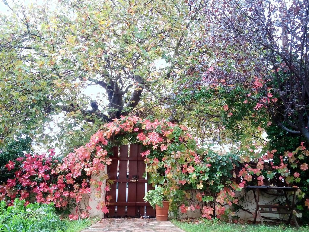 Villa The Platanus Tree Kato Vasiliki Esterno foto