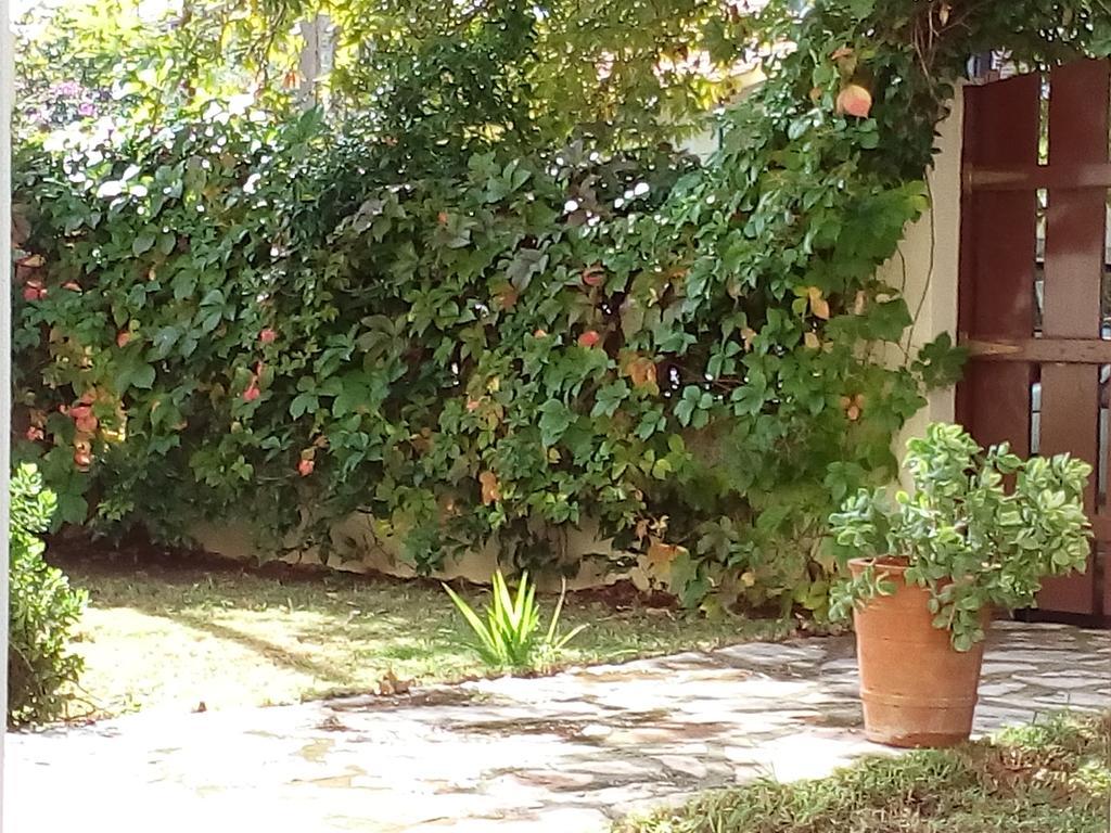 Villa The Platanus Tree Kato Vasiliki Esterno foto