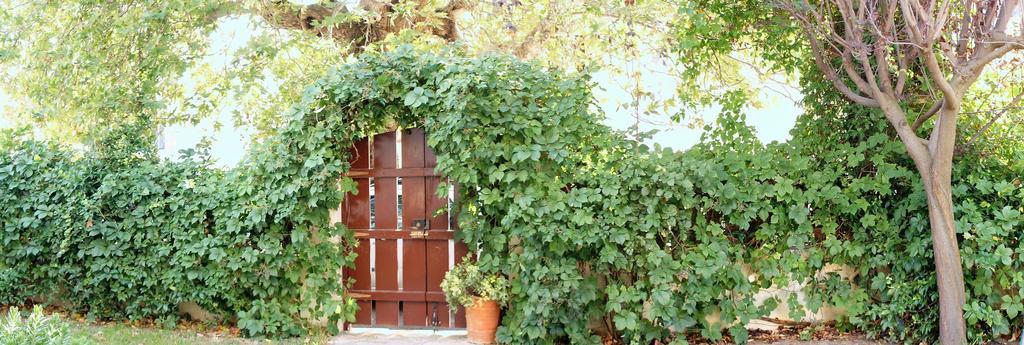 Villa The Platanus Tree Kato Vasiliki Esterno foto
