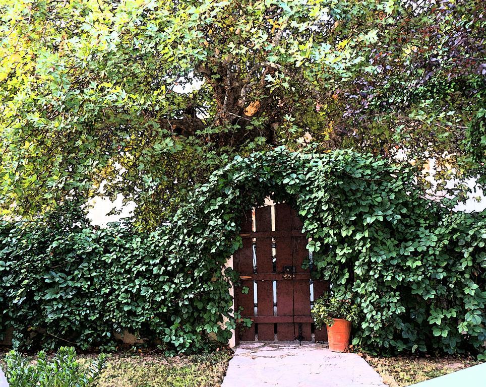 Villa The Platanus Tree Kato Vasiliki Esterno foto