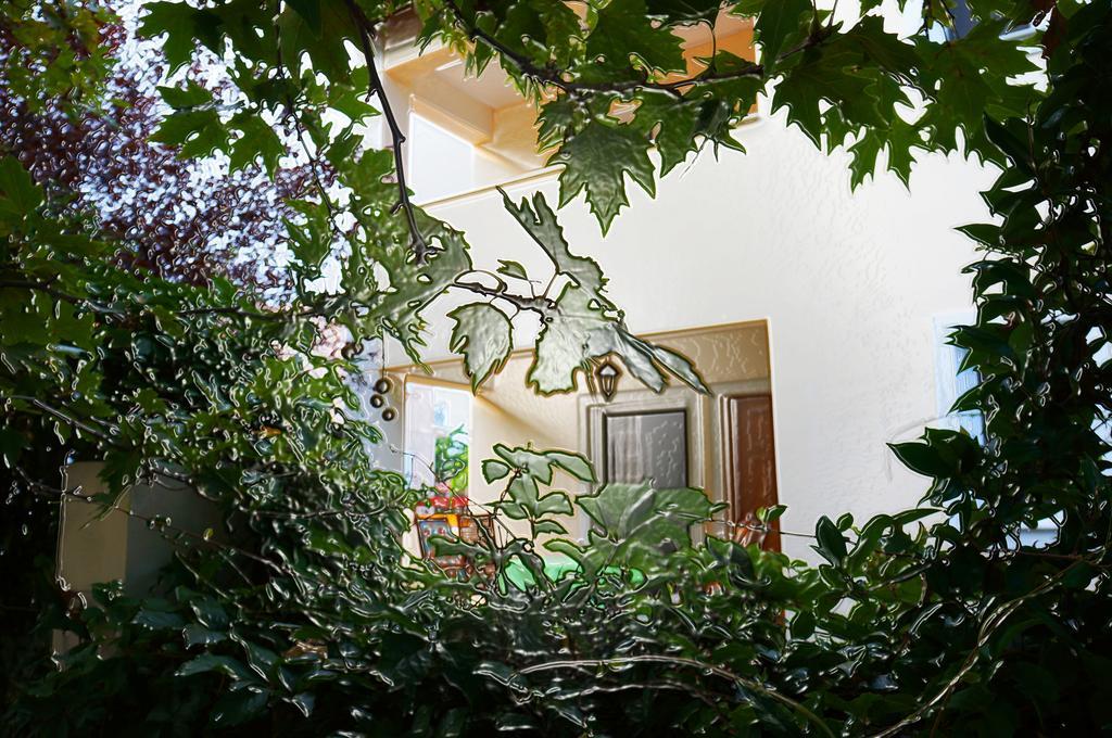 Villa The Platanus Tree Kato Vasiliki Esterno foto