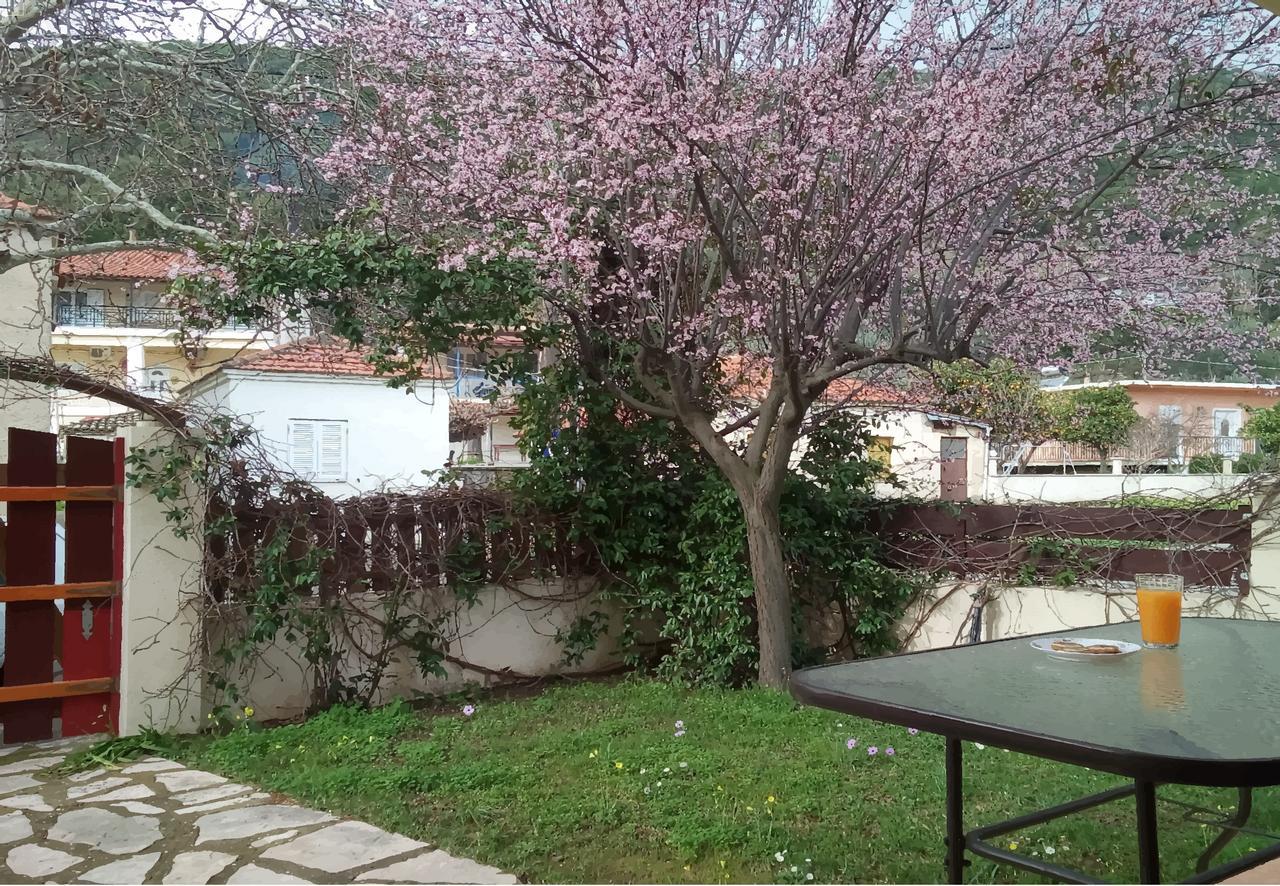 Villa The Platanus Tree Kato Vasiliki Esterno foto